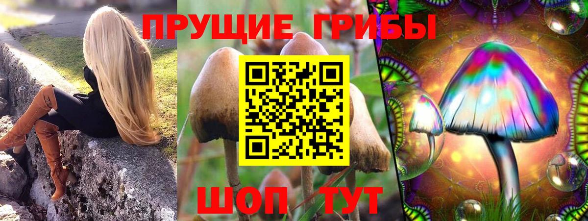Верхний Уфалей  купить наркотики цена  Вход с VPN  Галлюциногенные грибы GOLDEN TEACHER 